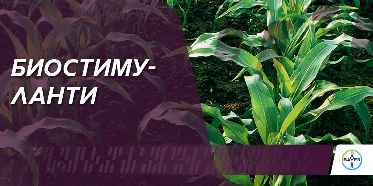 Банер Биостимуланти